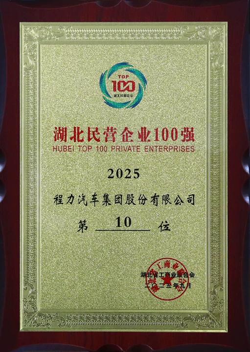 湖北民营企业10强